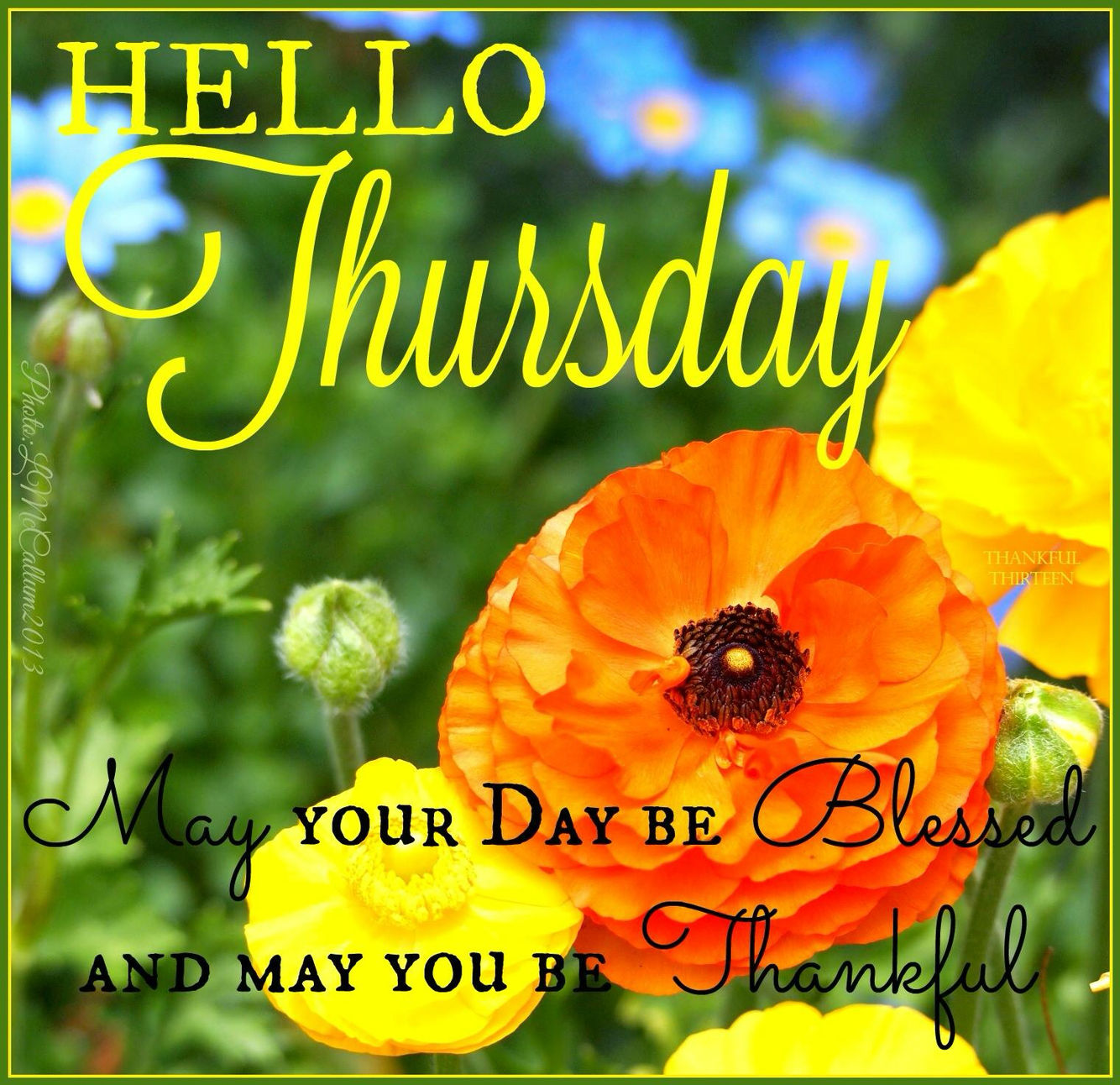 http://www.lovethispic.com/image/258877/hello-thursday-may-your-day-be-blessed
