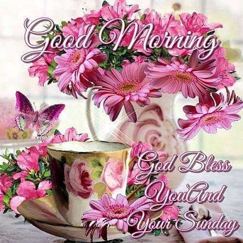 Good Morning, God Bless You And Your SUnday Pictures, Photos, and