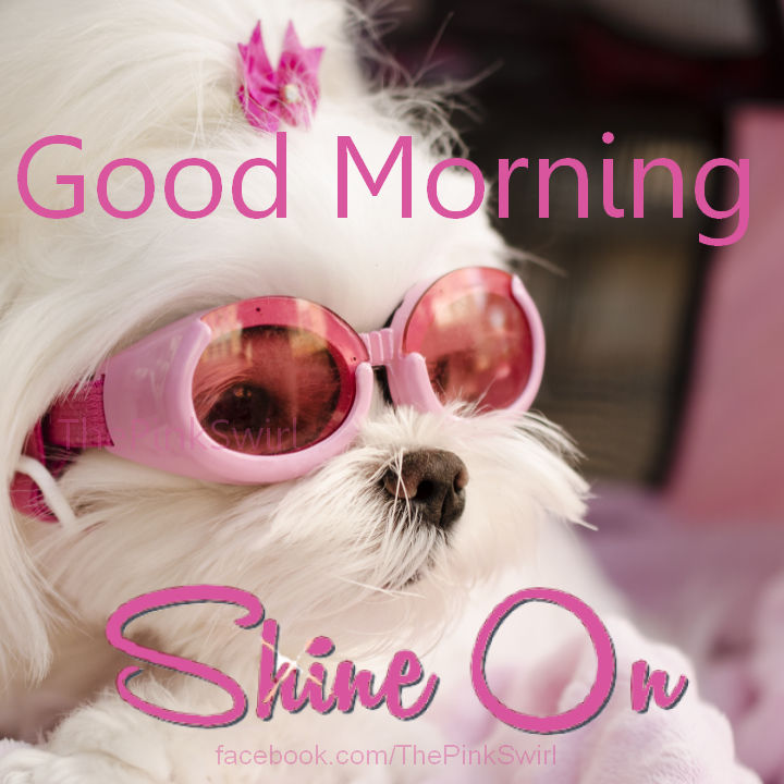 Good Morning Shine On Pictures, Photos, and Images for Facebook, Tumblr