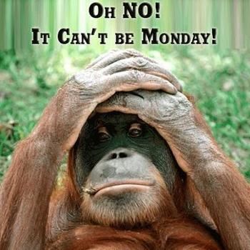 Oh No! It Can't Be Monday! Pictures, Photos, and Images for Facebook