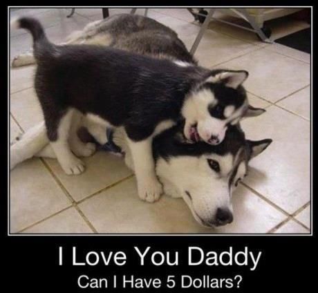 I Love You Daddy, Can I Have 5 Dollars? Pictures, Photos, and Images