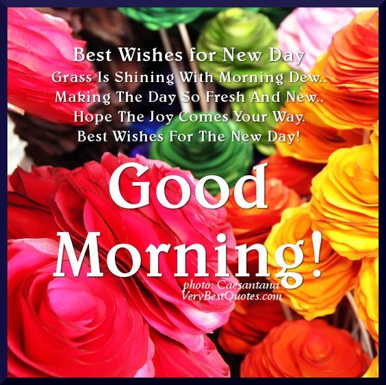 Good Morning Best Wishes For A New Day Pictures, Photos ...