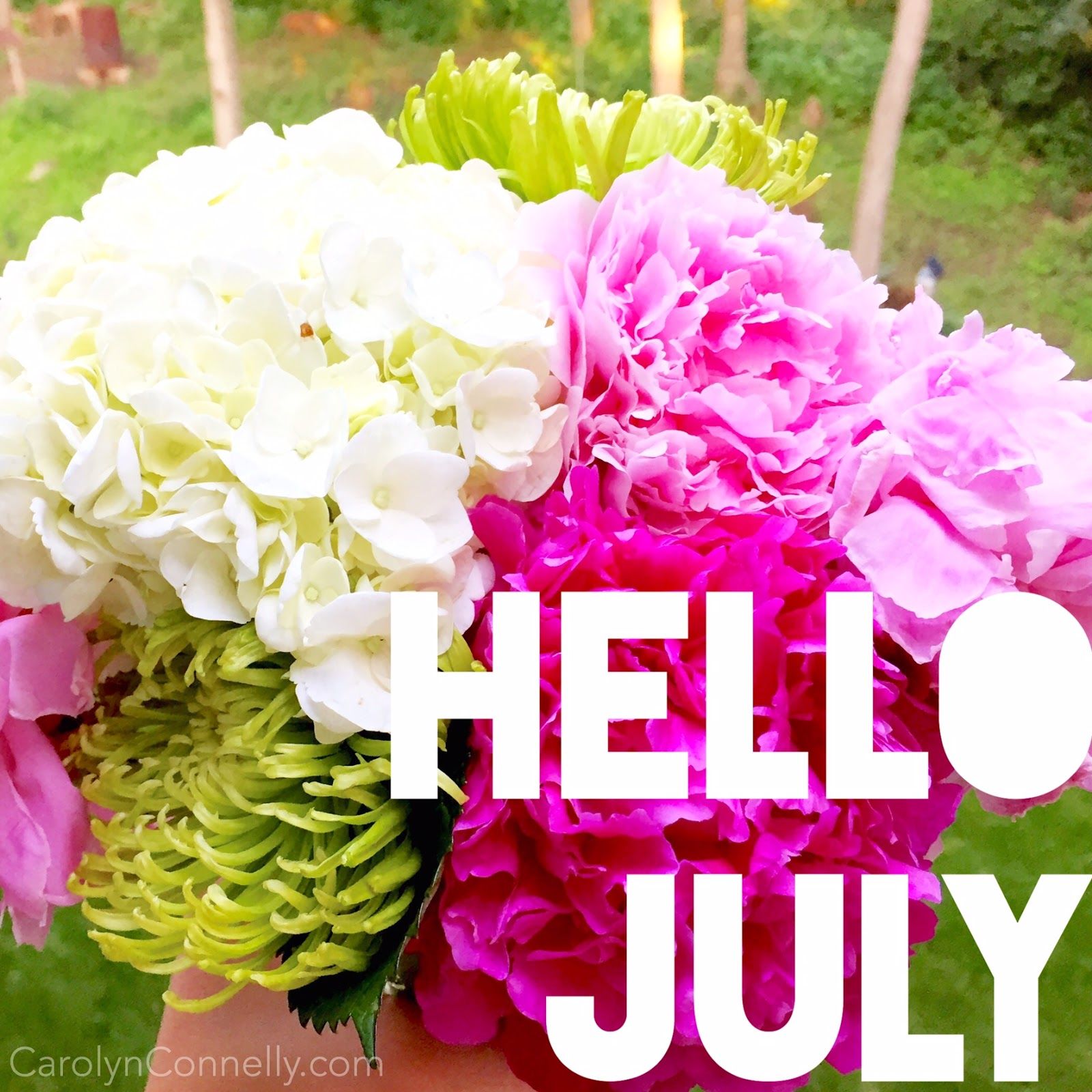 Hello July Pictures, Photos, and Images for Facebook, Tumblr, Pinterest