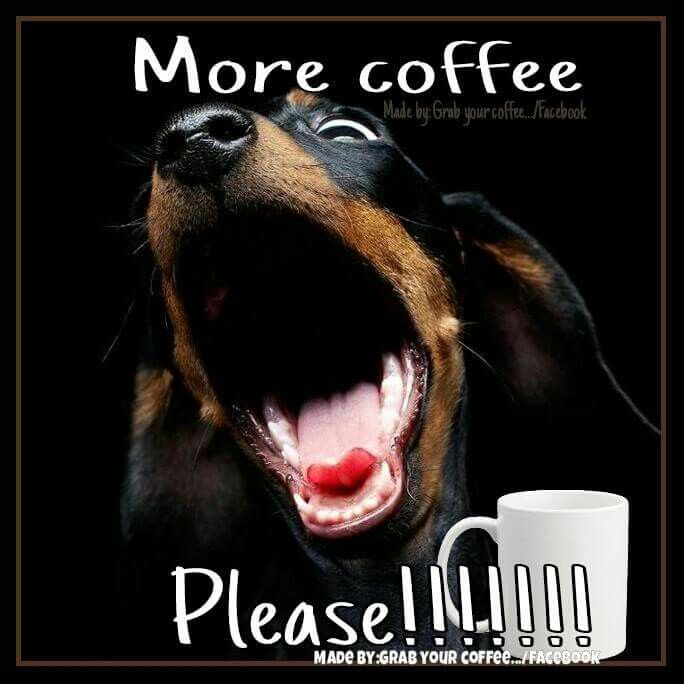 More Coffee Please!!! Pictures, Photos, and Images for Facebook, Tumblr