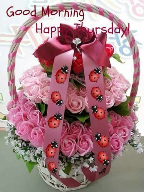 Good Morning, Happy Thursday Pictures, Photos, and Images for Facebook