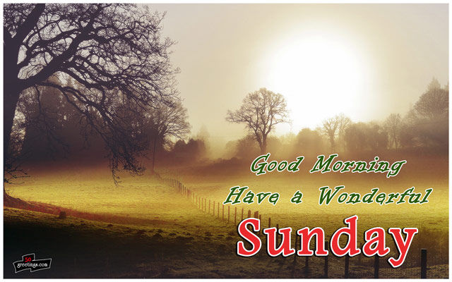 Good Morning, Have A Wonderful Sunday Pictures, Photos, and Images for