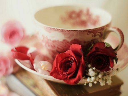 Pink roses teacup image