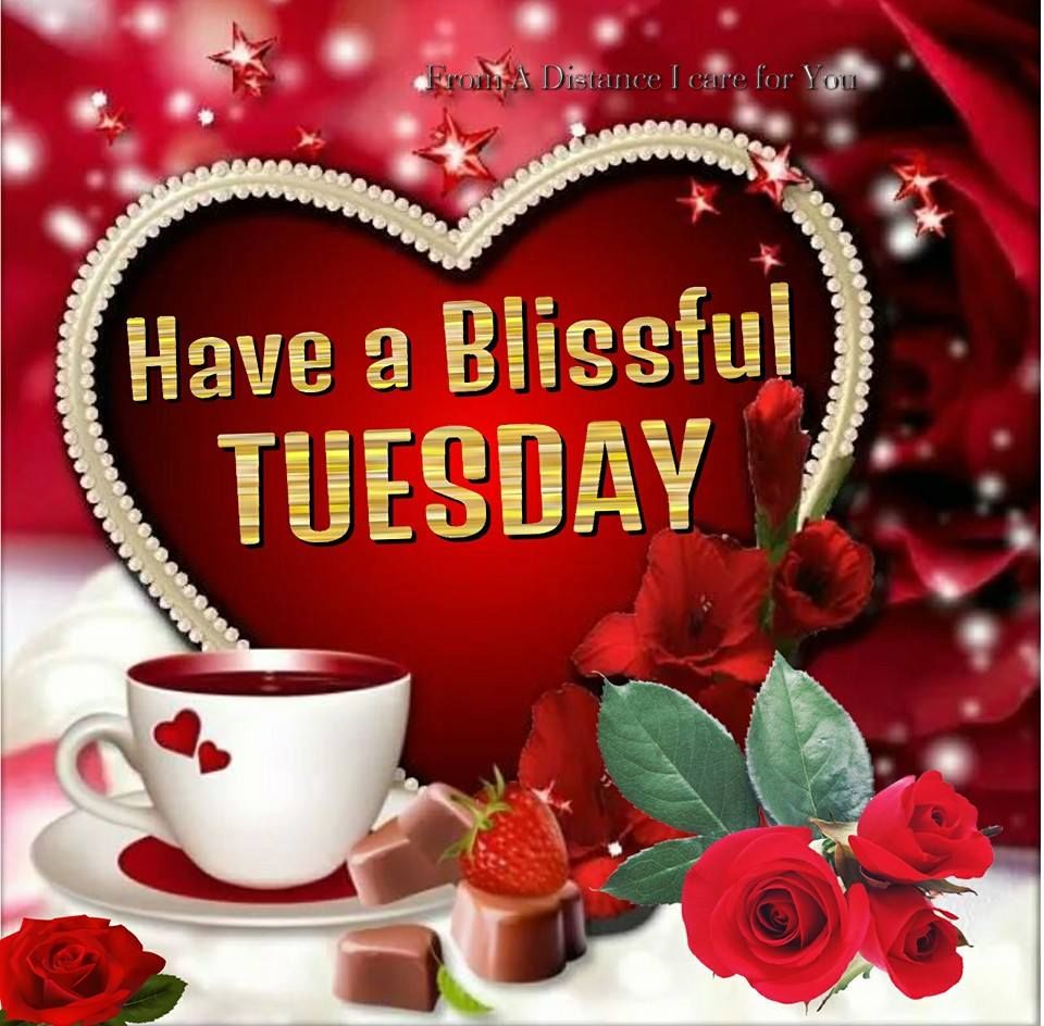 Have A Blissful Tuesday Pictures, Photos, and Images for Facebook