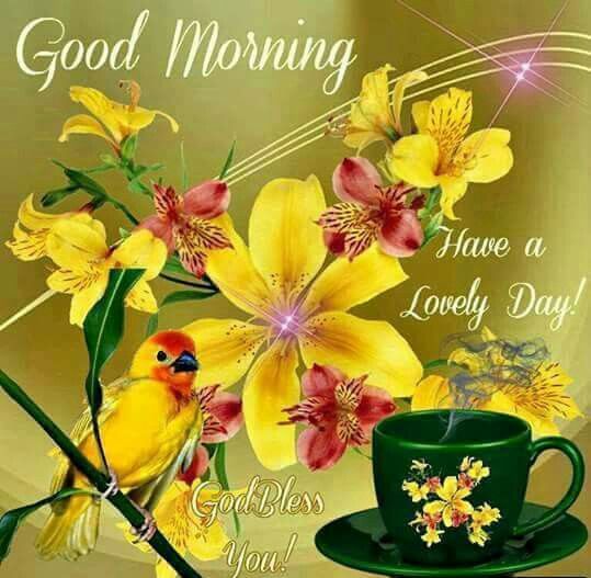 Good Morning, Have A Lovely Day Pictures, Photos, and Images for