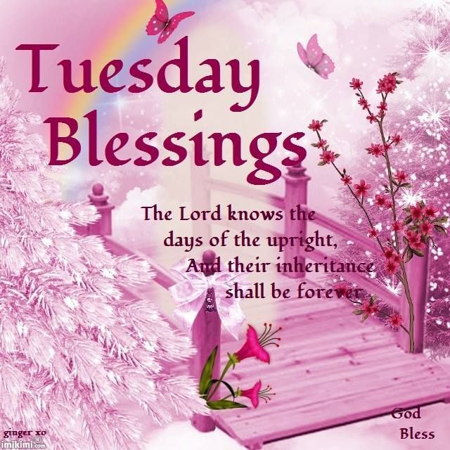 Tuesday Blessings Pictures, Photos, and Images for Facebook, Tumblr