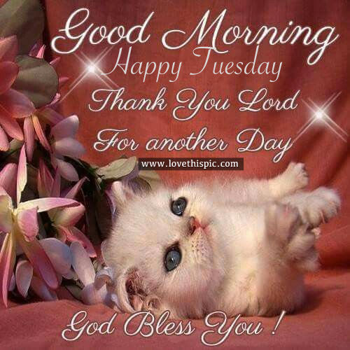 Good Morning, Happy Tuesday, Thank You Lord For Another Day Pictures