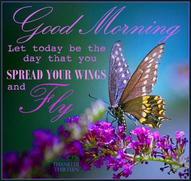 Good Morning, Let Today Be The Day That You Spread Your Wings And Fly