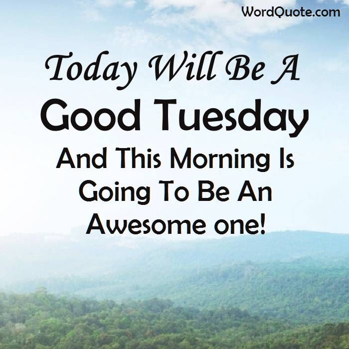 Today Will Be A Good Tuesday Pictures, Photos, and Images for Facebook