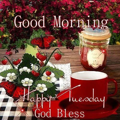 Good Morning, Happy Tuesday, God Bless Pictures, Photos, and Images for