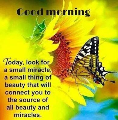 Good Morning Look For A Small Miracle Pictures, Photos, and Images for