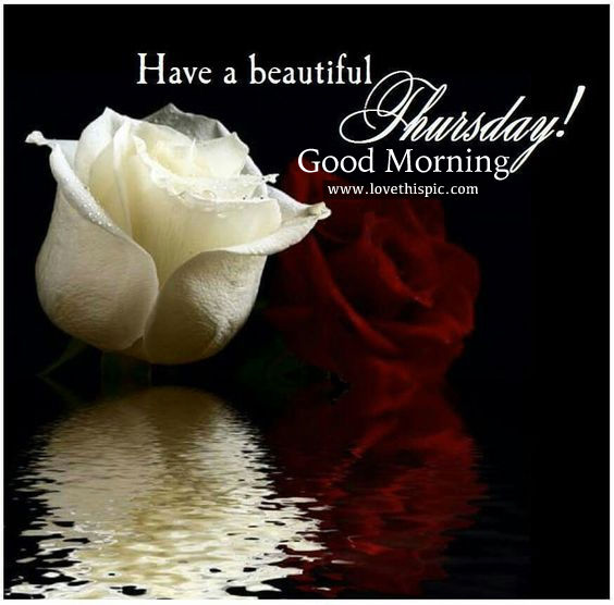 Have A Beautiful Thursday, Good Morning Pictures, Photos, and Images