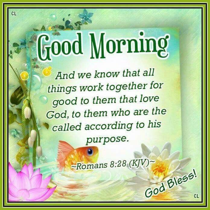 Good Morning, God Bless Pictures, Photos, and Images for Facebook, Tumblr, Pinterest, and Twitter