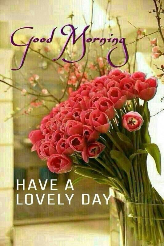 Good Morning, Have A Lovely Day Pictures, Photos, and Images for Facebook, Tumblr, Pinterest