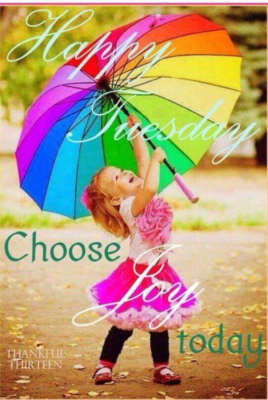 Happy Tuesday, Choose Joy Today Pictures, Photos, and Images for