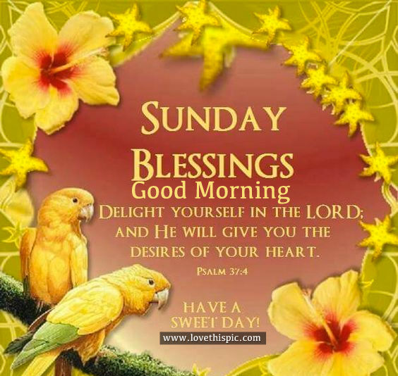 Sunday Blessings, Good Morning Pictures, Photos, and Images for