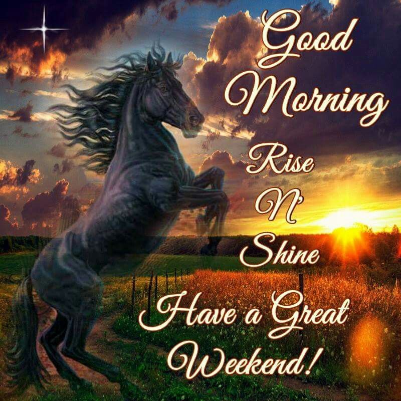Good Morning, Rise & Shine, Have A Great Weekend Pictures, Photos, and