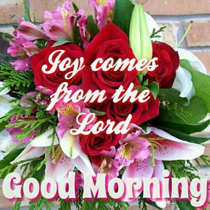 Joy Comes From The Lord, Good Morning Pictures, Photos, and Images for