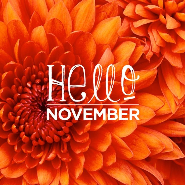 Hello November Pictures, Photos, and Images for Facebook, Tumblr