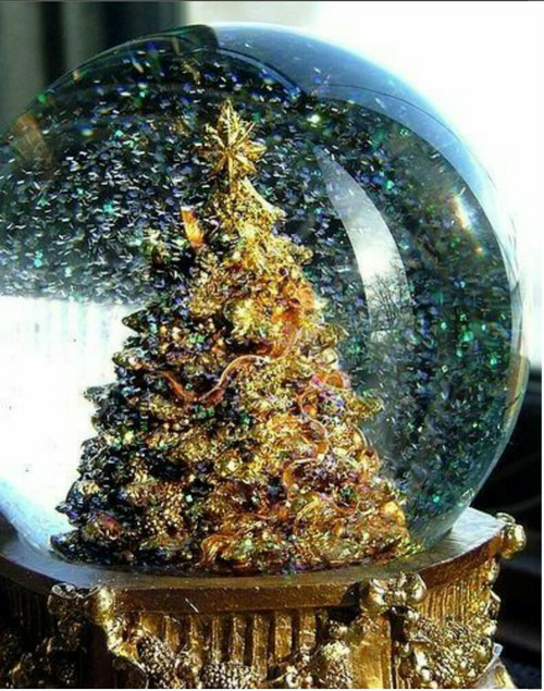 Gold Christmas Tree Inside Snowglobe Pictures, Photos, and Images for