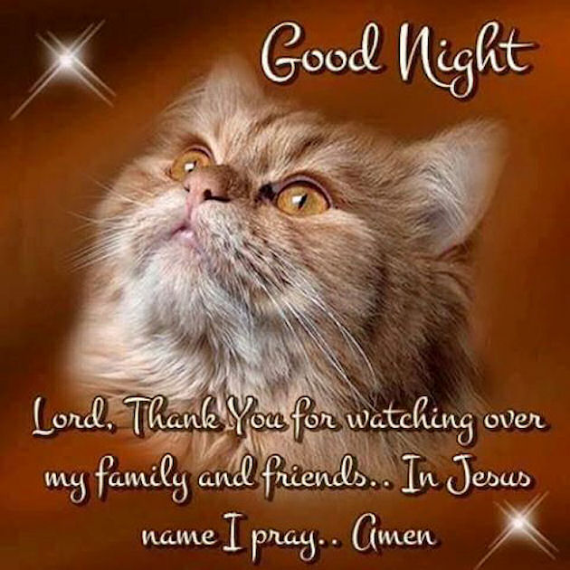 Goodnight Thank You Lord For Watching Over My Family Pictures, Photos