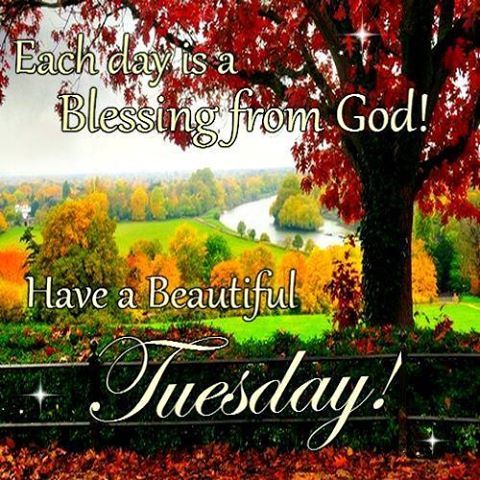 Have A Beautiful Tuesday Pictures, Photos, and Images for Facebook