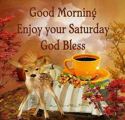 Good Morning, Enjoy Your Saturday, God Bless Pictures, Photos, and