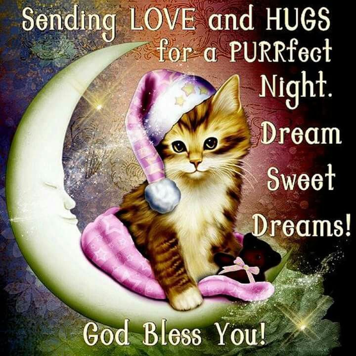 Sending Love And Hugs For A Purrfect Night. Sweet Dreams, God Bless You