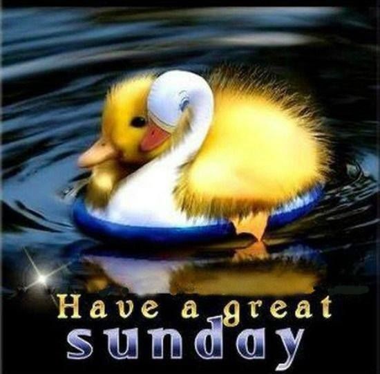 Have A Great Sunday Pictures, Photos, and Images for Facebook, Tumblr