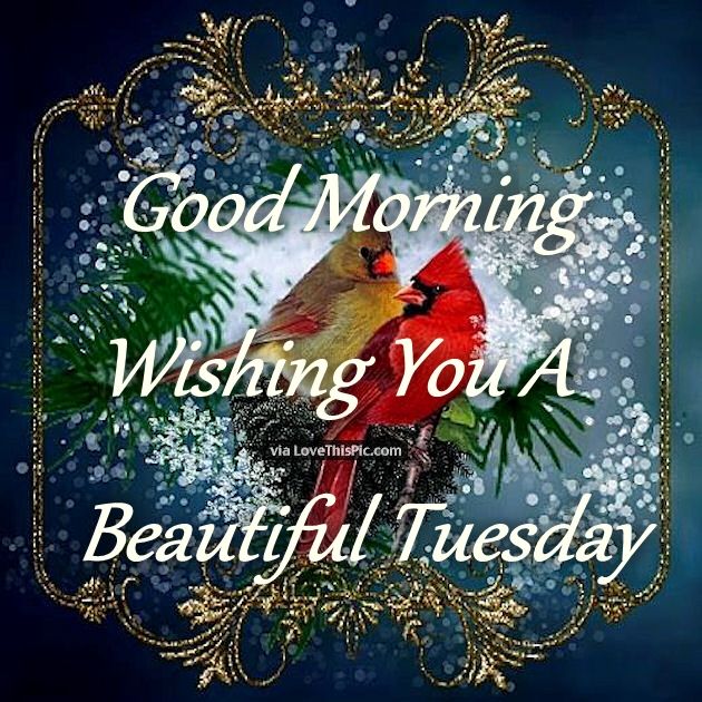 Good Morning Wishing You A Beautiful Tuesday Pictures 