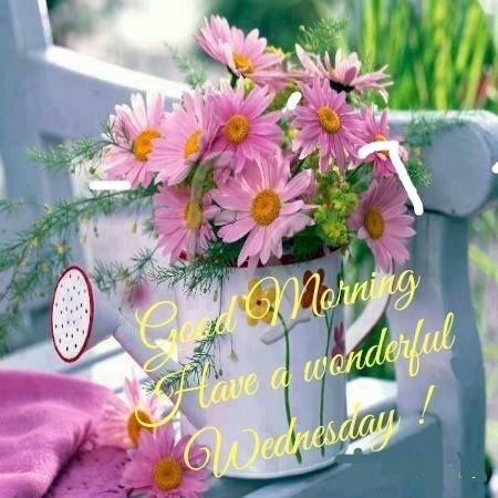 Good Morning, Have A Wonderful Wednesday Pictures, Photos, and Images