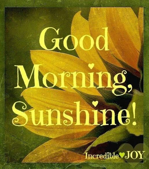 Good Morning Sunshine Pictures, Photos, and Images for Facebook, Tumblr