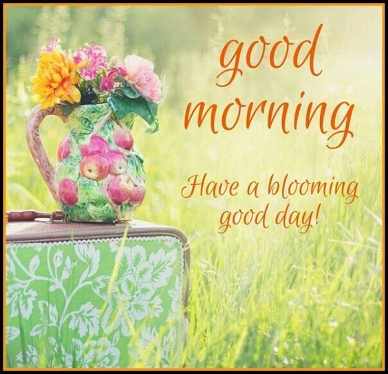 Good Morning, Have A Blooming Good Day Pictures, Photos, and Images for