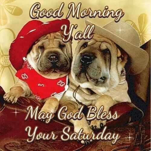 Good Morning Yall, May God Bless Your Saturday Pictures, Photos, and