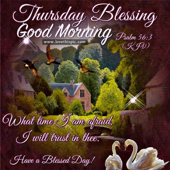 Thursday Blessing, Good Morning Pictures, Photos, and Images for