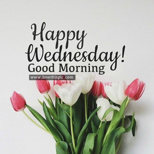 Happy Wednesday! Good Morning Pictures, Photos, and Images for Facebook