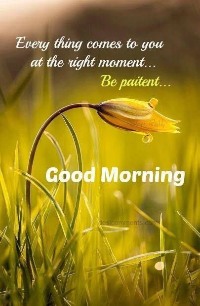 Every Thing Comes To You At The Right Moment...be Patient...good