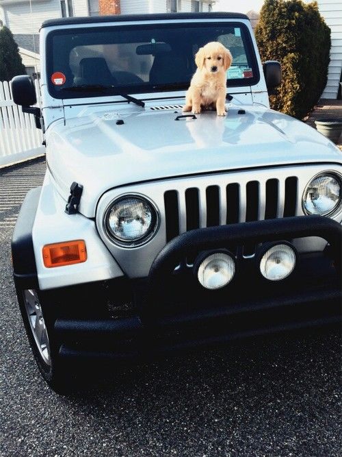 Silver Jeep Pictures, Photos, and Images for Facebook