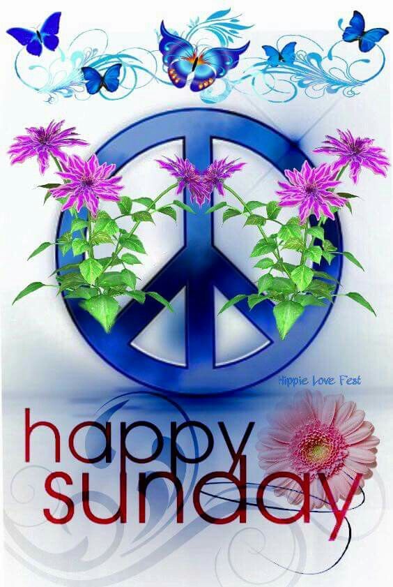 Happy Sunday Pictures, Photos, and Images for Facebook, Tumblr