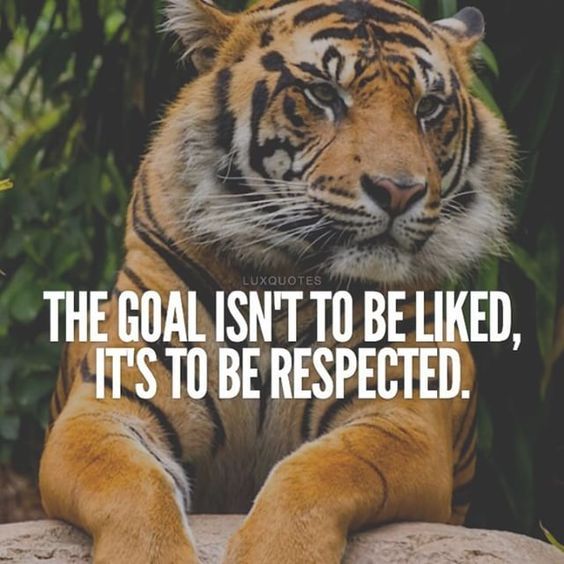 The Goal Isn't To Be Liked, It's To Be Respected. Pictures, Photos, and