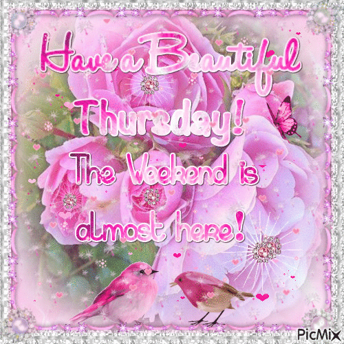 Have A Beautiful Thursday! The Weekend Is Almost Here 