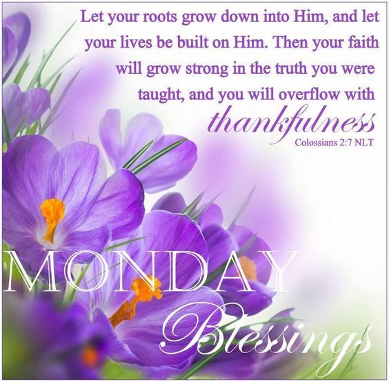 Monday Blessings Pictures, Photos, and Images for Facebook, Tumblr, Pinterest, and Twitter