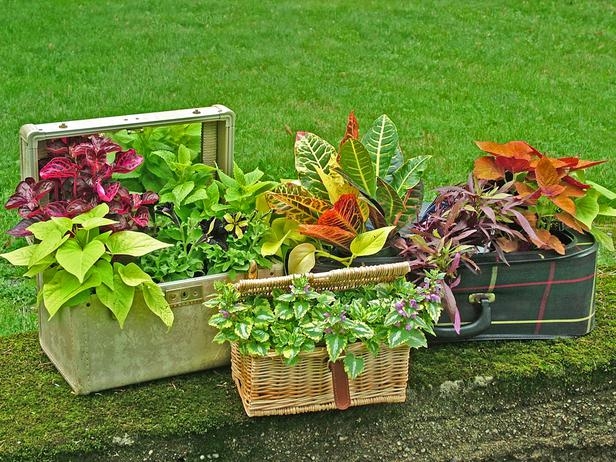 Garden Luggage and Basket Garden Luggage and Basket