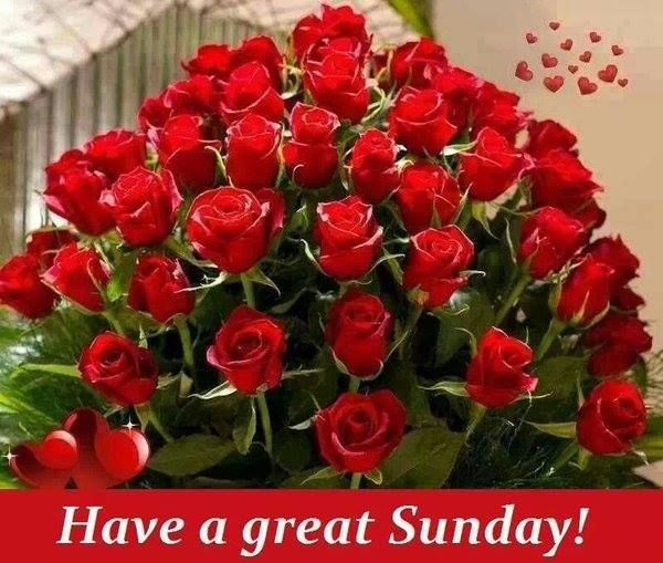 Have A Great Sunday Pictures, Photos, and Images for Facebook, Tumblr
