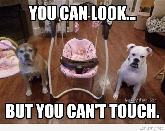 308500-You-Can-Look..-But-You-Can-t-Touch.jpg