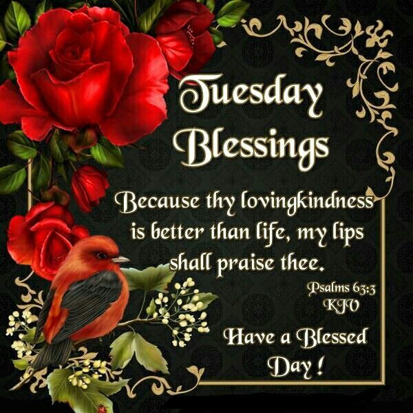 Tuesday Blessings Pictures, Photos, and Images for Facebook, Tumblr